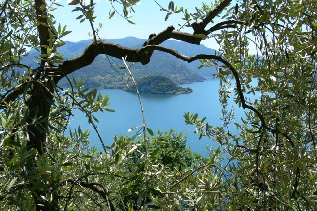 Luci Sul Lago - A Real Paradise Perledo Exterior photo